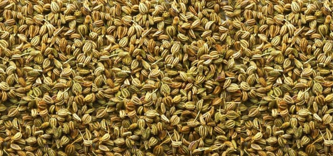Health Benefits of Carom Seeds (Ajwain) & How to Use Them