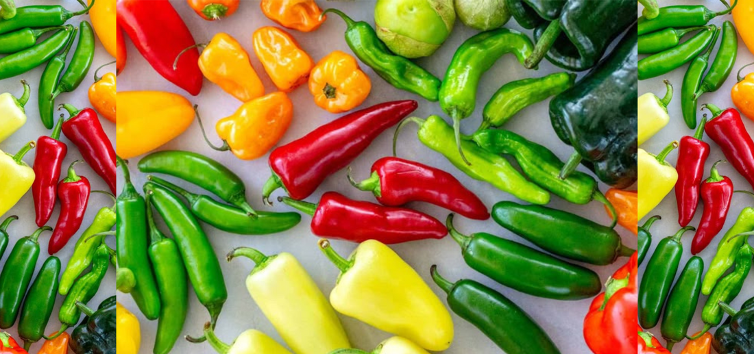 different types of chilli peppers 