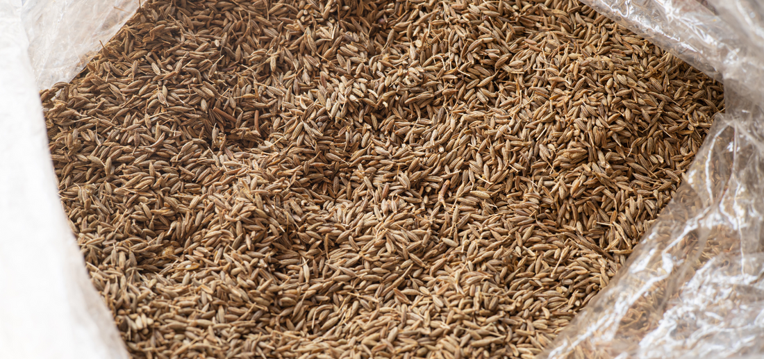 zira cumins seed dry indian herbal food ingredient